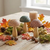 Article Champignons en bois champignons décoratifs décoration d'automne bois assortis 11×7,5cm 3pcs