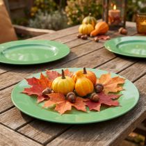 Article Assiette en plastique vert robuste – 28 cm, parfaite pour la décoration quotidienne et les activités de plein air – Lot de 4