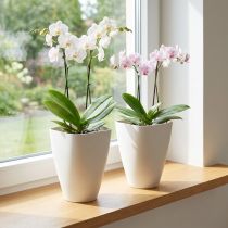 Article Pot de fleurs en plastique, pot à orchidées, blanc, 16,5 cm de haut, lot de 2