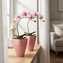 Article Pot de fleurs, vase en plastique, pot à orchidées, rose, 16,5 cm de hauteur, lot de 2