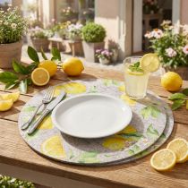 Article Sets de table ronds en feutre gris Summer Lemon 31 cm 2 pièces