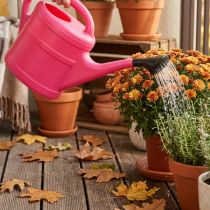 Article Arrosoir rose, 5 l