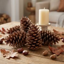 Article Cônes Maritima 14/18 naturel 25 pcs