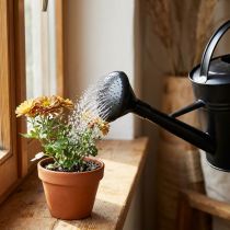 Article Arrosoir douche noir 5l