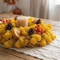 Article Mousse de Rennes Jaune 400g