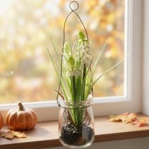 Article Jacinthe de raisin blanche dans un verre à suspendre H22cm