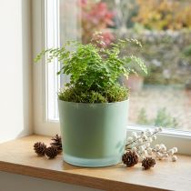 Article Cache-pot en verre jardinière verte pot en verre Ø14.5cm H12.5cm