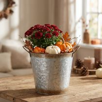 Article Pot décoratif avec anses, seau de plantation, récipient en métal, argenté, acier patiné, Ø 17 cm H 16,5 cm