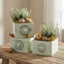 Article Boîte à plantes tiroir décoratif shabby vert 15-23cm lot de 3