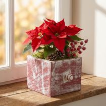 Article Boîte à plantes en bois tiroir décoratif shabby chic rouge blanc 12cm