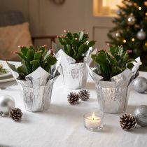 Article Mini jardinière argent emballage cadeau Ø4,5cm H7cm 8 pcs