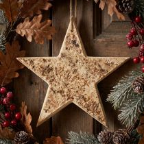 Article Étoile décorative en bois naturel avec écorce de bouleau Ø20 cm