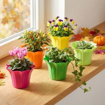 Article Jardinière en plastique, couleurs assorties. Ø9cm 10 pièces