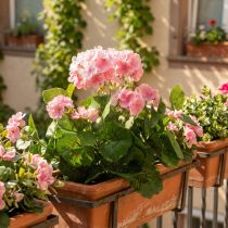 Article Fleur artificielle de géranium Buisson de géranium rose artificiel 7 fleurs H38cm