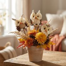 Article Bouchons de fleurs décoratifs hibou décoration d'automne naturel Ø4cm H8cm 4pcs
