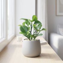 Article Plante verte artificielle succulente vert artificiel H14cm