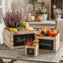 Article Boîtes rustiques en bois avec surface tableau noir – naturelles et noires, différentes tailles – solution de rangement polyvalente – lot de 3