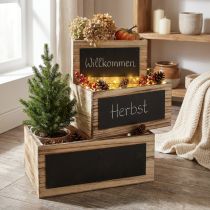 Article Boîtes décoratives en bois avec surface tableau noir – naturel et noir, différentes tailles – rangement pratique et élégant – lot de 3
