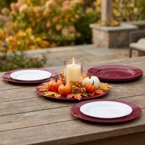 Article Assiettes polyvalentes en plastique rouge foncé – 28 cm, parfaites pour la décoration et l'extérieur – 4 pièces