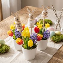 Article Bâton de fleur en bois de lapin naturel, marron, blanc L32cm 8 pcs
