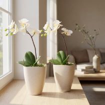 Article Pot à orchidées, pot de fleurs, plastique, beige moucheté, 13,5 x 13 cm, H 16,5 cm, 2 pièces