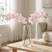 Article Orchidées Artificielles Fleurs Artificielles Rose Clair Real Touch 58cm 2pcs
