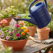 Article Arrosoir de 10 L, arrosoir de jardin avec pommeau, arrosoir de jardin bleu