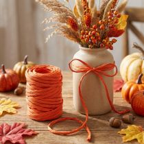 Article Cordon de papier 6mm 23m orange