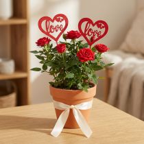 Article Bouchon fleur coeur rouge bouchon décoratif en bois Love 7cm 12pcs