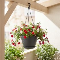 Article Panier suspendu Galicia Ø30cm anthracite