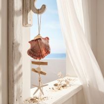 Article Suspension décorative maritime coquillage étoile de mer Ø10–12cm 40cm