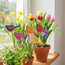 Article Décoration de printemps bouchons de fleurs décoration d'oiseau en bois 28cm 18 pcs