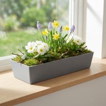 Article Pot de fleurs polyvalent en plastique gris – rectangulaire, 37 cm – idéal pour le jardinage intérieur et extérieur