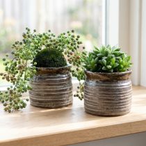 Article Jardinière décorative céramique marron métallisé gris 10,5×10cm 2pcs