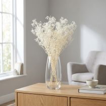 Article Gypsophile Blanc Herbes Séchées Décoration Crème 65-70cm 100g