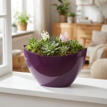 Article Bol décoratif bateau à plantes violet 20×9cm H12cm