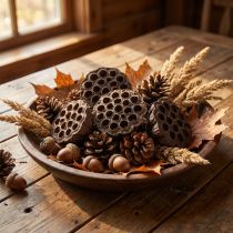 Article Bulbe de lotus grand 100 pcs naturel
