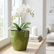 Article Pot à orchidées brillant Ø12,5cm vert olive 1 pièce