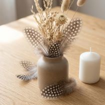 Article Plumes de pintade 10g Marron clair