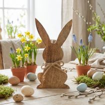 Article Lapin en bois assis, bois de manguier, décoration de Pâques couleurs naturelles H18,5cm