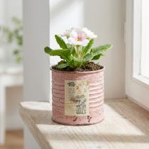 Article Pot de fleurs décoratif rond en métal antique rose, Ø8 cm H7,5 cm