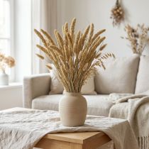 Article Fleurs séchées, décoration en millet, Setaria (millet des oiseaux), 60 g