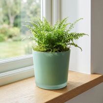 Article Cache-pot en verre jardinière verte pot en verre Ø11.5cm H11cm