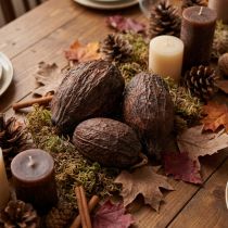 Article Fruits de cacao, naturels, 10-18 cm, 15 pièces