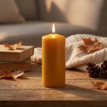 Article Bougie pilier PURE miel jaune bougies Wenzel 130/60mm