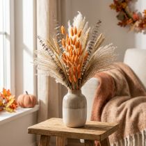Article Lagurus, herbe queue de lapin séchée, abricot, fleurs séchées décoratives, 55-60 cm, 50 g