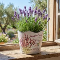 Article Jardinière plastique pot de fleur lavande Ø13,5cm H12cm
