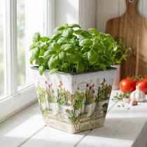 Article Pot à herbes, jardinière avec motif, jardinière H13cm L13,5cm