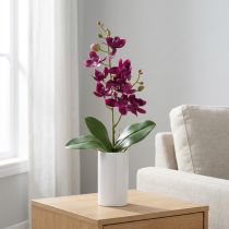 Article Petite orchidée Phalaenopsis fleur artificielle violet foncé 30cm
