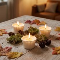 Article Light.one bougies chauffe-plat en papier naturel sans plastique végétalien 12 pcs